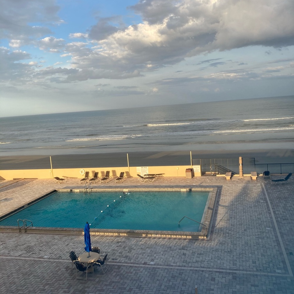 Meet your Posher, Ellie